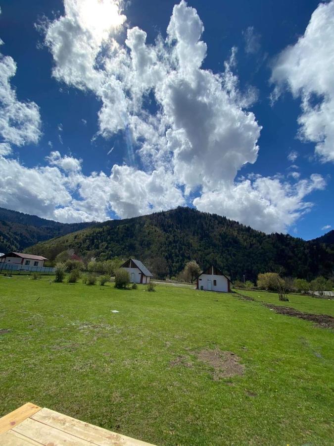 Вілла Cozy Hills Боржомі Екстер'єр фото
