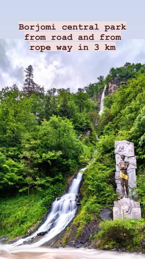 Вілла Cozy Hills Боржомі Екстер'єр фото
